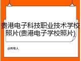 贵港电子科技职业技术学校照片(贵港电子学校照片)