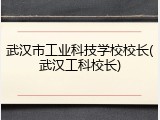 武汉市工业科技学校校长(武汉工科校长)