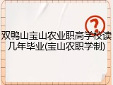 双鸭山宝山农业职高学校读几年毕业(宝山农职学制)