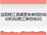 益阳桃江县哪里有单招的培训机构(桃江单招培训)
