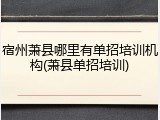 宿州萧县哪里有单招培训机构(萧县单招培训)