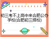 初三考不上高中来合肥公办学校(合肥初三择校)