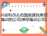 兴安科尔沁右翼前旗找单招集训的公司(单招集训公司)