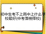 初中生考不上高中上什么学校最好(中考落榜择校)