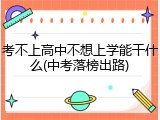 考不上高中不想上学能干什么(中考落榜出路)