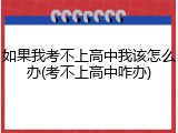 如果我考不上高中我该怎么办(考不上高中咋办)