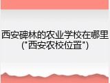 西安碑林的农业学校在哪里("西安农校位置")