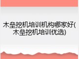 木垒挖机培训机构哪家好(木垒挖机培训优选)