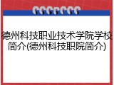 德州科技职业技术学院学校简介(德州科技职院简介)