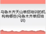乌鲁木齐天山单招培训的机构有哪些(乌鲁木齐单招培训)