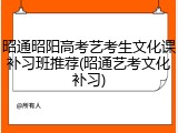 昭通昭阳高考艺考生文化课补习班推荐(昭通艺考文化补习)
