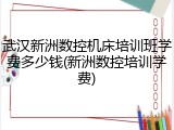 武汉新洲数控机床培训班学费多少钱(新洲数控培训学费)