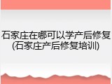 石家庄在哪可以学产后修复(石家庄产后修复培训)