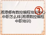 湘潭哪有数控编程培训中心中职怎么样(湘潭数控编程中职培训)