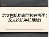 龙文挖机培训学校在哪里(龙文挖机学校地址)