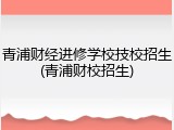 青浦财经进修学校技校招生(青浦财校招生)