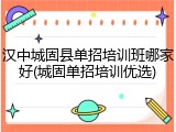 汉中城固县单招培训班哪家好(城固单招培训优选)