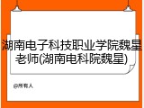 湖南电子科技职业学院魏星老师(湖南电科院魏星)