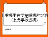 上虞哪里有学挖掘机的地方(上虞学挖掘机)
