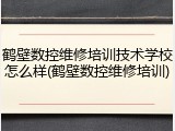 鹤壁数控维修培训技术学校怎么样(鹤壁数控维修培训)