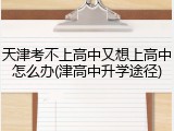 天津考不上高中又想上高中怎么办(津高中升学途径)