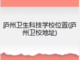 庐州卫生科技学校位置(庐州卫校地址)
