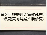 黄冈月嫂培训无痛催乳产后修复(黄冈月嫂产后修复)