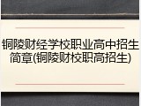 铜陵财经学校职业高中招生简章(铜陵财校职高招生)
