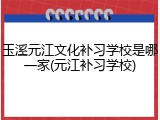 玉溪元江文化补习学校是哪一家(元江补习学校)