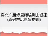 嘉兴产后修复师培训去哪里(嘉兴产后修复培训)