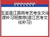 玉溪澄江县高考艺考生文化课补习班推荐(澄江艺考文化补习)
