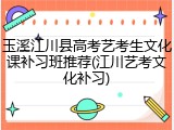 玉溪江川县高考艺考生文化课补习班推荐(江川艺考文化补习)