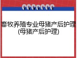 畜牧养殖专业母猪产后护理(母猪产后护理)