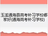 玉溪通海县高考补习学校哪家好(通海高考补习学校)