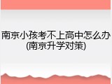 南京小孩考不上高中怎么办(南京升学对策)