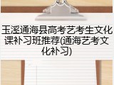 玉溪通海县高考艺考生文化课补习班推荐(通海艺考文化补习)