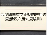 武汉哪里有学正规的产后恢复(武汉产后恢复培训)