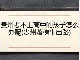 贵州考不上高中的孩子怎么办呢(贵州落榜生出路)