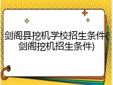 剑阁县挖机学校招生条件(剑阁挖机招生条件)