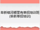 阜新细河哪里有单招培训班(阜新单招培训)