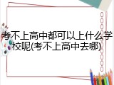 考不上高中都可以上什么学校呢(考不上高中去哪)