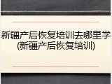 新疆产后恢复培训去哪里学(新疆产后恢复培训)