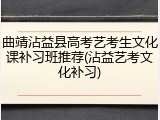 曲靖沾益县高考艺考生文化课补习班推荐(沾益艺考文化补习)