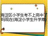 海淀区小学生考不上高中了吗现在(海淀小学生升学难)