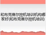 和布克赛尔挖机培训机构哪家好(和布克赛尔挖机培训)