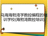 乌海海勃湾学数控编程的培训学校(海勃湾数控培训)