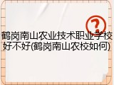 鹤岗南山农业技术职业学校好不好(鹤岗南山农校如何)