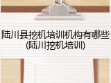 陆川县挖机培训机构有哪些(陆川挖机培训)