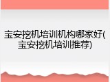 宝安挖机培训机构哪家好(宝安挖机培训推荐)