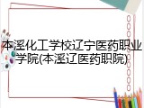 本溪化工学校辽宁医药职业学院(本溪辽医药职院)